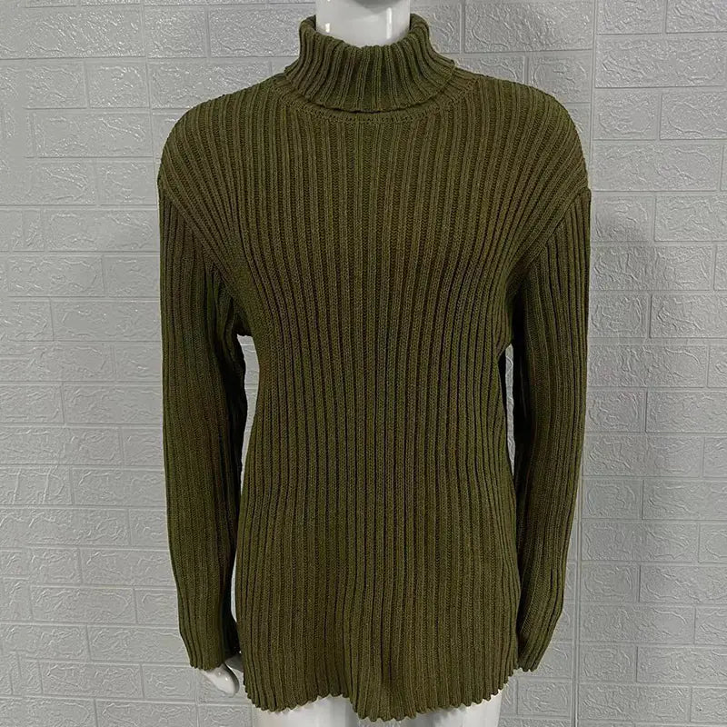 Slim Fit Knit Turtleneck Sweater in Solid Color