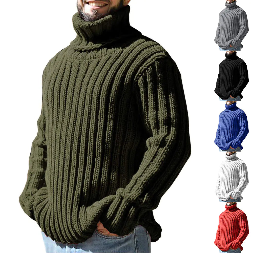 Slim Fit Knit Turtleneck Sweater in Solid Color