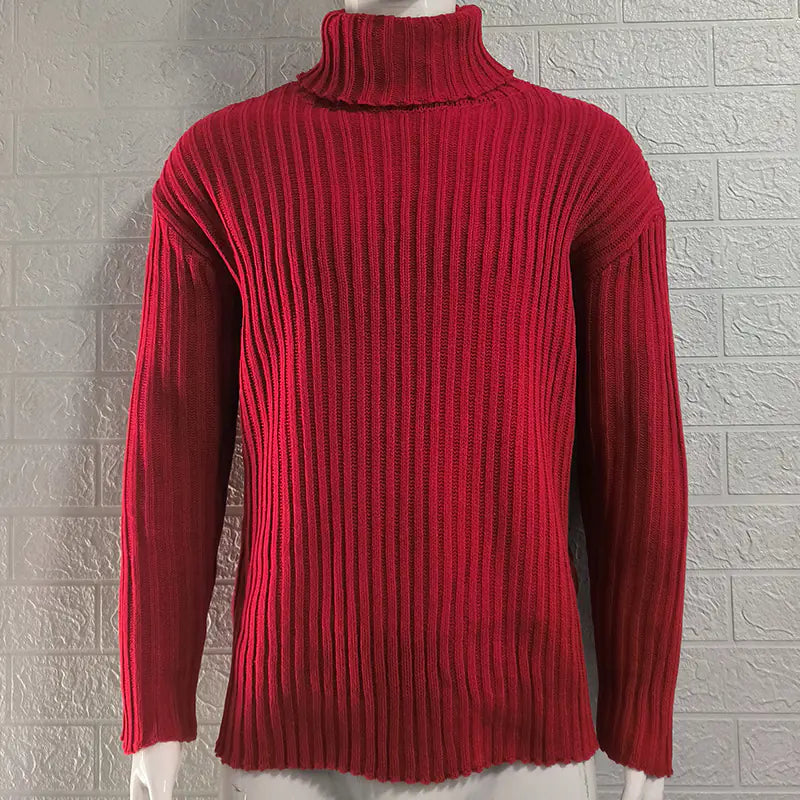 Slim Fit Knit Turtleneck Sweater in Solid Color