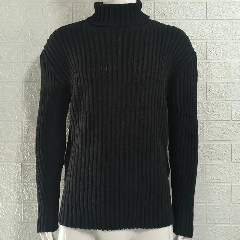 Slim Fit Knit Turtleneck Sweater in Solid Color