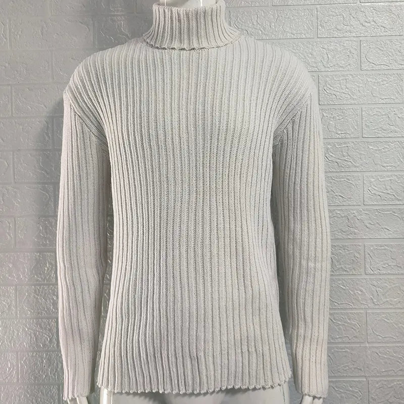 Slim Fit Knit Turtleneck Sweater in Solid Color